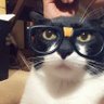 ganchou profil fotoğrafı