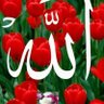Profilbild von ABDUR RAHIM