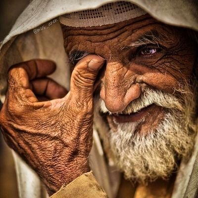 mus_anen's profile picture