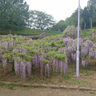 泉川ためる 的头像