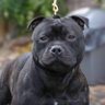 Gordon Jack's profile picture