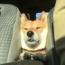 ぐれんにしき 的头像