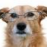 RadioVacanta's profile picture