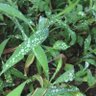 Фото профиля اللهم رضاك والجنة