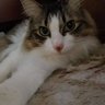 むっつー 😺🍺🌠 profil fotoğrafı