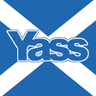 Yass 🏴's profile picture