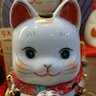 🦚🐍🐢🐉🐯kotora🐯🐉🐢🐍🦚 profil fotoğrafı