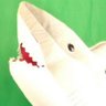 ClarenceTheShark 的头像