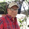 Luis Briton profil fotoğrafı