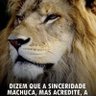 Vingador do Sistema 的头像