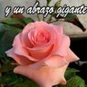 Rose NC profil fotoğrafı