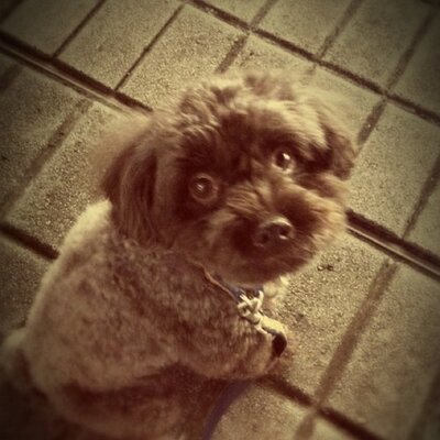熱田 護's profile picture