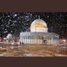Фото профиля مدثر