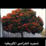 Profilbild von صالح العنزي