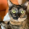 Jen - Don’t Fvck with Cats 🐱 🐶🐝🐳🌱🌎🦇🎶's profile picture