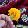 ( saleh )'s profile picture