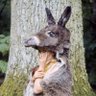 Reiko's profile picture