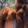 Lauren De Maio's profile picture