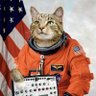 Фото профиля Space CAT