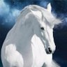 Naderrah's profile picture
