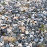 rock 的头像