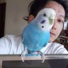 Profilbild von 村上太郎