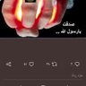 الكوسج الأخضر profil fotoğrafı