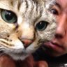 Profilbild von pinball