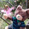 Profilbild von ★nacotan.1002★