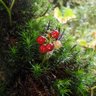 yukiko profil fotoğrafı