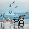 Фото профиля غالب العامري