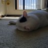 relax profil fotoğrafı