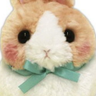 うさちゃん's profile picture