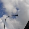 RodyElce profil fotoğrafı