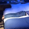 saotome 的头像