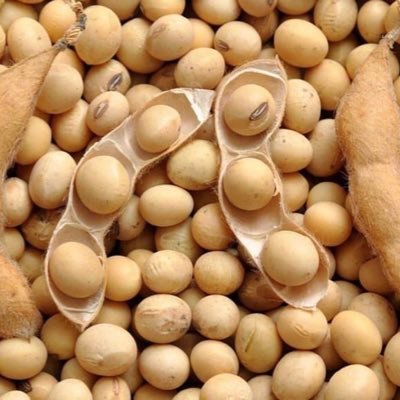 GRAINSOILSEEDS's profile picture