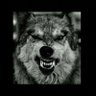 WTG's profile picture