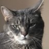 Slings's profile picture