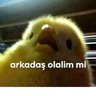 Çayça profil fotoğrafı