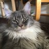 Miger's profile picture