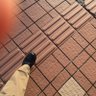 テルツァーギー（主任）'s profile picture