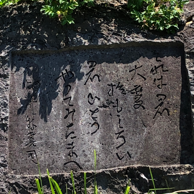 東北大学浅虫海洋生物学教育研究センター's profile picture