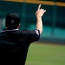 坂井遼太郎's profile picture