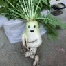 ノン 的头像