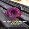 محمد اليامي 的头像