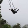 Alejandra's profile picture