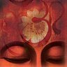 deepaks's profile picture