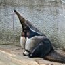 Profilbild von persolus
