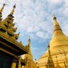Фото профиля Michael Lin