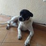 Aurora donlucas profil fotoğrafı